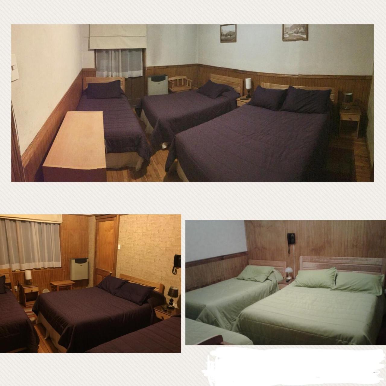 Hostal Chalet Las Violetas Пунта-Аренас Екстер'єр фото